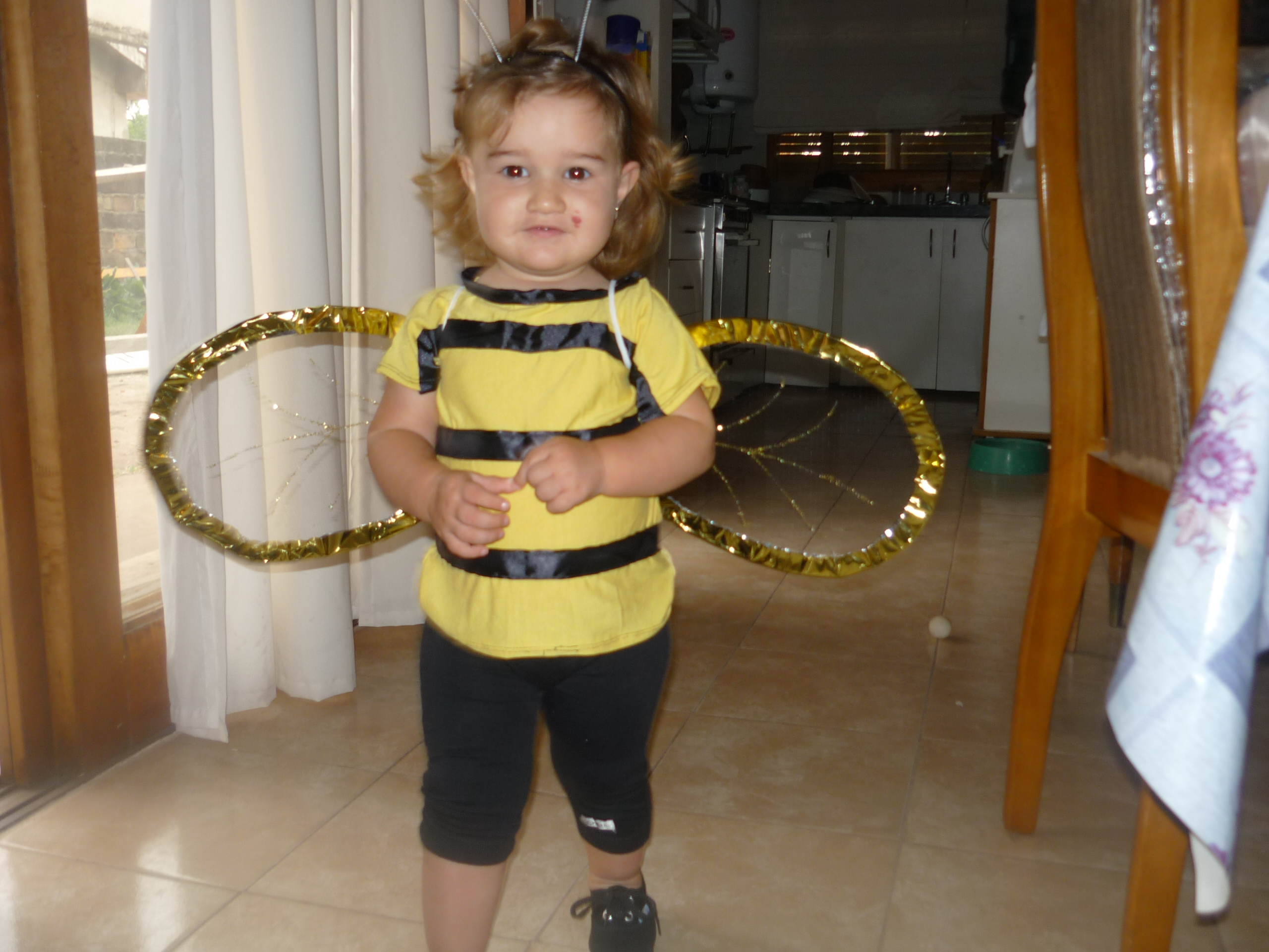 fotos/2011-11-13 - Acto jardin/P1020443.JPG